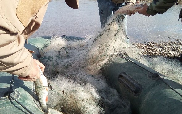 107767238 196777805119311 5368083393816181881 n 590x370 1 - Рибпатруль Прикарпаття вів переслідування на Дністрі - rai.ua