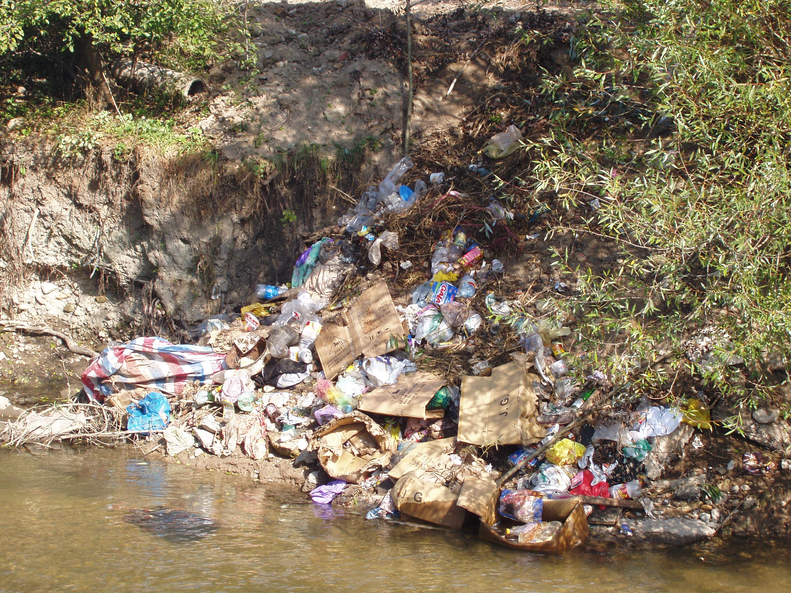 smittia i richka - Створена робоча група для вирішення проблеми поводження із твердими побутовими відходами - rai.ua