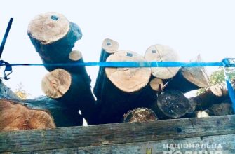 119633766 4773355579371711 6835703487230620805 n 1 - На Надвірнянщині поліцейські вилучили вантажівку з лісоматеріалами - rai.ua