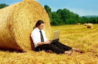 416421 - У П'ядицькій та Заболотівській ОТГ тестуватимуть систему Державного аграрного реєстру - rai.ua