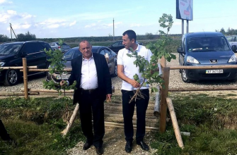 image 13 - В урочищі Жбир висадили алею громад Прикарпаття - rai.ua