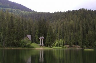 synevyr lake 1 - Відновили реалізацію міжнародного проєкту підтримки нацпарків - rai.ua