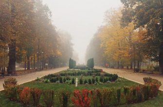 43626678 10205067609366859 3554395353690144768 n - Прикмети та свята 19 листопада: що не можна робити в цей день - rai.ua