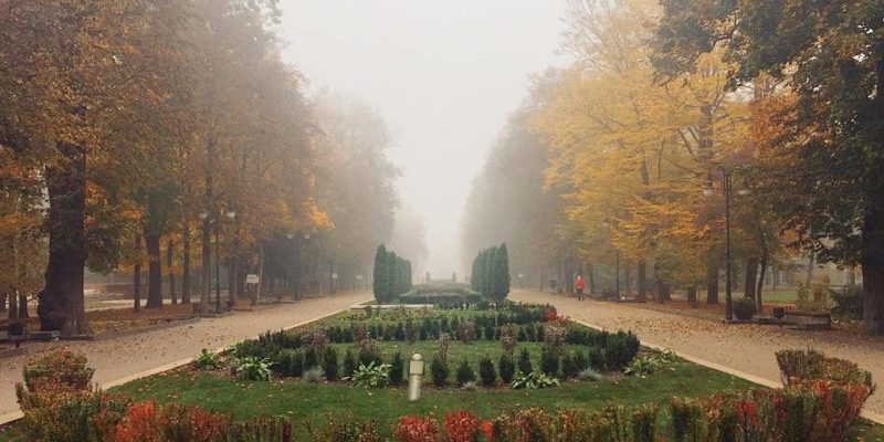43626678 10205067609366859 3554395353690144768 n - Прикмети та свята 19 листопада: що не можна робити в цей день - rai.ua