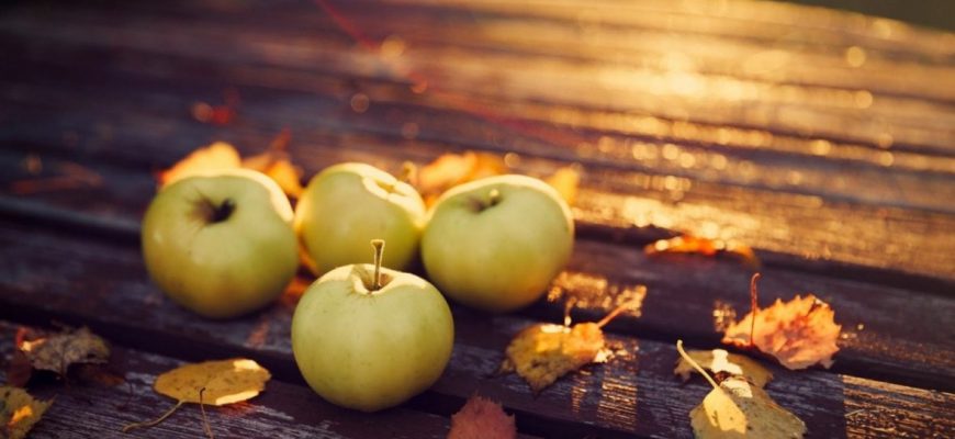 beautiful table hd wallpapers 20 1180x770 1 - Прикмети та свята на Михайлів День 21 листопада: що не можна робити - rai.ua