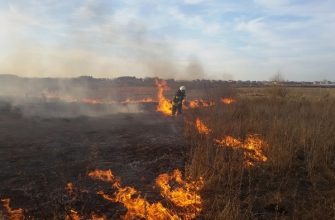 pozhezhasuhoitravi - Спалювання сухої трави: на Прикарпатті рятувальники ліквідували понад 300 пожеж у минулому році. Відео - rai.ua