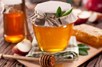 unnamed 2 - Карпатський мед може стати офіційним географічним брендом - rai.ua