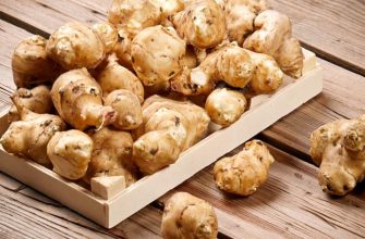 94621864 228837341885806 6400886226194268160 n - На Прикарпатті вироблятимуть каву з топінамбура - rai.ua