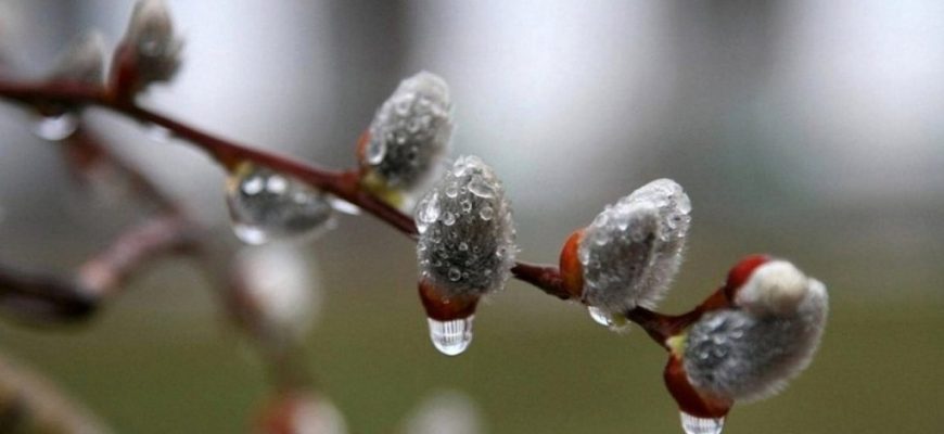 58dcc745a8908 151936 1200 1024x576 1 - Синоптикиня розповіла, якою буде погода на Прикарпатті цього тижня. Відео - rai.ua