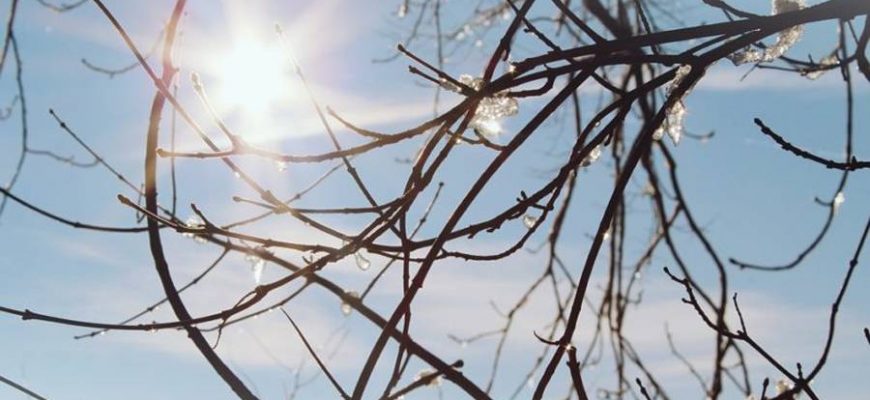 m 12 b3f42 93143c52a9b7e9642f4d648ab5b20830 b3f42 resize free 960 - Прикмети та свята 12 березня: що не можна робити на Прокопа Перезимнього - rai.ua