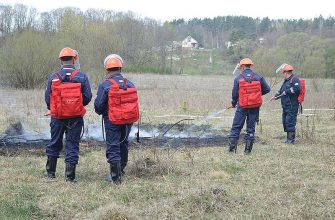 dsc 1433 62 - На Коломийщині провели навчання для лісівників Держлісгоспу та працівників ДСНС. Відео - rai.ua