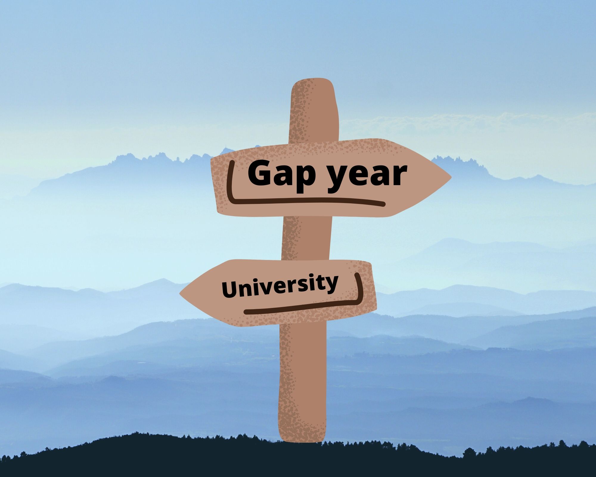 Gap Year 