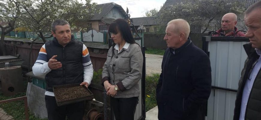 1620383203 303 - У Тисменицькій громаді зафіксували масове отруєння бджіл - rai.ua