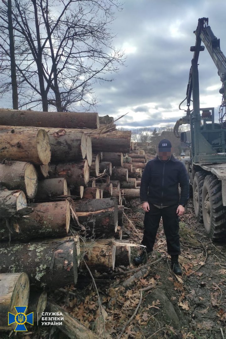 262592198 4521830321219466 2624156834244137462 n - На Прикарпатті заблокували масштабний канал контрабанди лісу. Фото - rai.ua