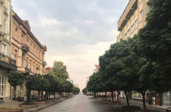 image biyebrv - Стан справ на Прикарпатті 28 березня 2022 року. Відео - rai.ua