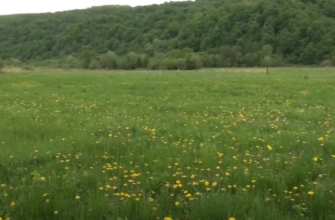 screenshot 6 4 - У Коломийській ТГ проводять активну інвентаризацію комунальних земель. Відео - rai.ua