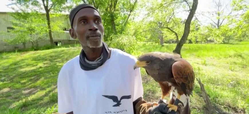22 06 16 usa falcon - Чорношкірий сокольник: 51-річний житель Вашингтона змінює життя. Відео - rai.ua