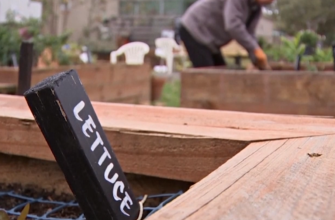 3 - Уроки городництва для жителів Австралії. Відео - rai.ua