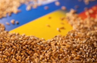 161750 1 large - Зафрахтований ООН корабель везе українське зерно до Африки. Відео - rai.ua