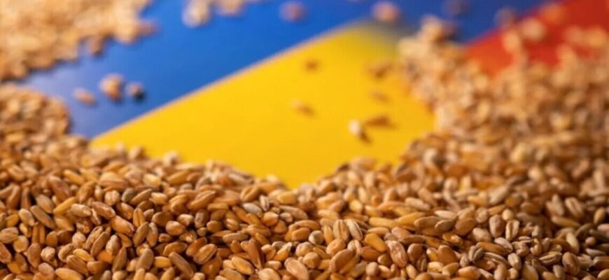 161750 1 large - Зафрахтований ООН корабель везе українське зерно до Африки. Відео - rai.ua