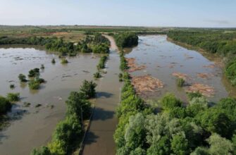 nova - В Івано-Франківську відкрили терміновий збір допомоги мешканцям Херсонщини - rai.ua