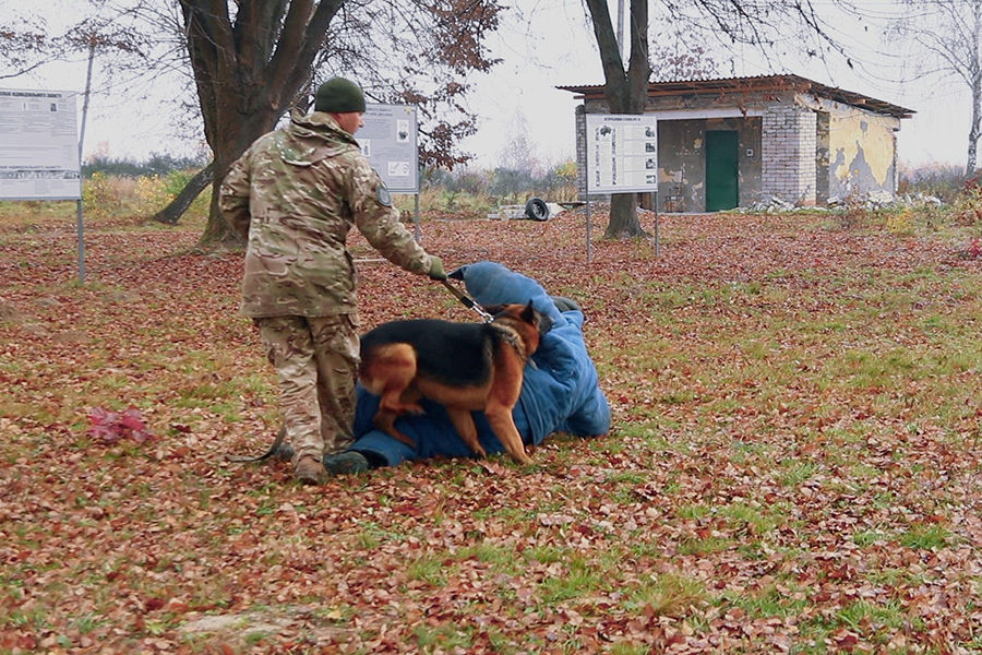 photo 4 - Прикарпатські нацгвардійці показали як проходять щоденні тренування службових собак - rai.ua