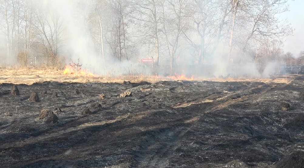 З початку 2024 року на території Прикарпаття виникло майже 90 пожеж сухої трави. Відео