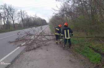 dereva3 - Прикарпатські рятувальники ліквідовують наслідки негоди - rai.ua