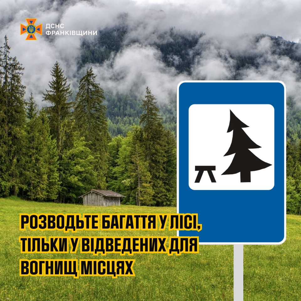 y2 - Пожежна безпека в лісах: як вберегти природу від вогню - rai.ua