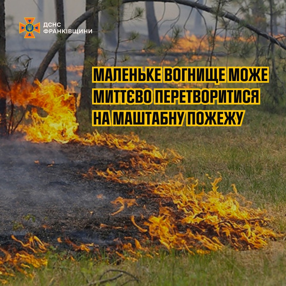 y5 - Пожежна безпека в лісах: як вберегти природу від вогню - rai.ua