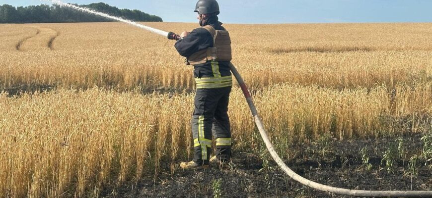 psh1 - Ворог намагається знищити майбутній урожай: на Харківщині обстріляно хлібний лан. Фото - rai.ua