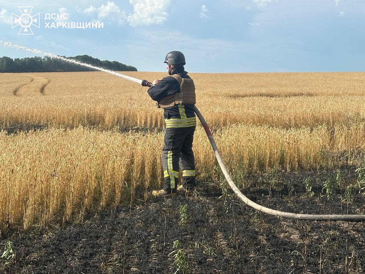 psh1 - Ворог намагається знищити майбутній урожай: на Харківщині обстріляно хлібний лан. Фото - rai.ua