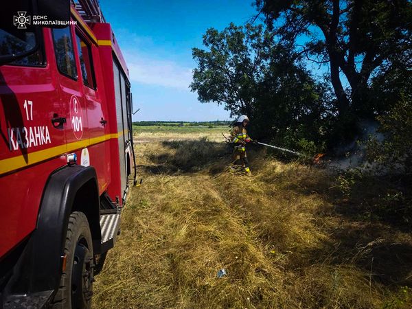 vogo - Майже 200 пожеж виникло у природних екосистемах України за одну добу - rai.ua