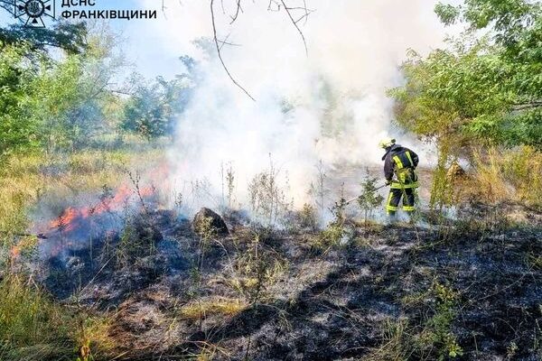 пожежа сухої трави