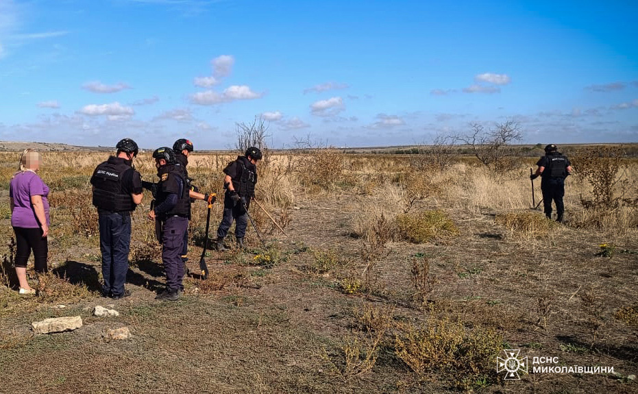 103 - 4 корови підірвалися на мінному полі на Миколаївщині - rai.ua