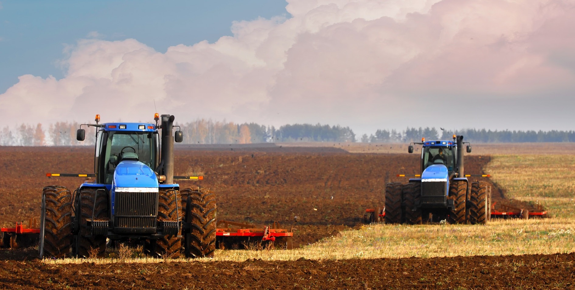 agro - Аграрії Івано-Франківщини продовжують осінньо-польові роботи - rai.ua