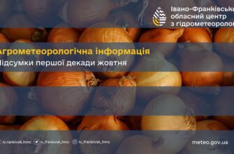 Агрометеорологічна інформація за третю декаду жовтня 2024 року