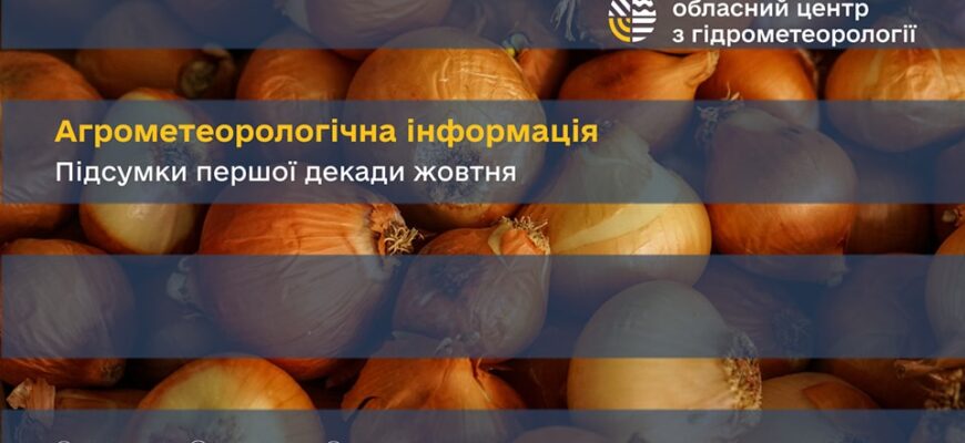 Агрометеорологічна інформація за третю декаду жовтня 2024 року