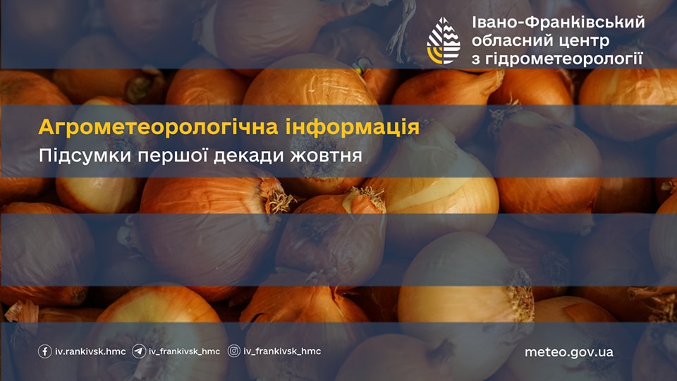 argo - Агрометеорологічна інформація за третю декаду жовтня 2024 року - rai.ua