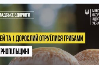 На Тернопільщині восьмеро дітей отруїлися дикими грибами