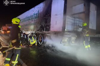 Рятувальники ліквідували пожежу вантажівки, яка перевозила мʼясо