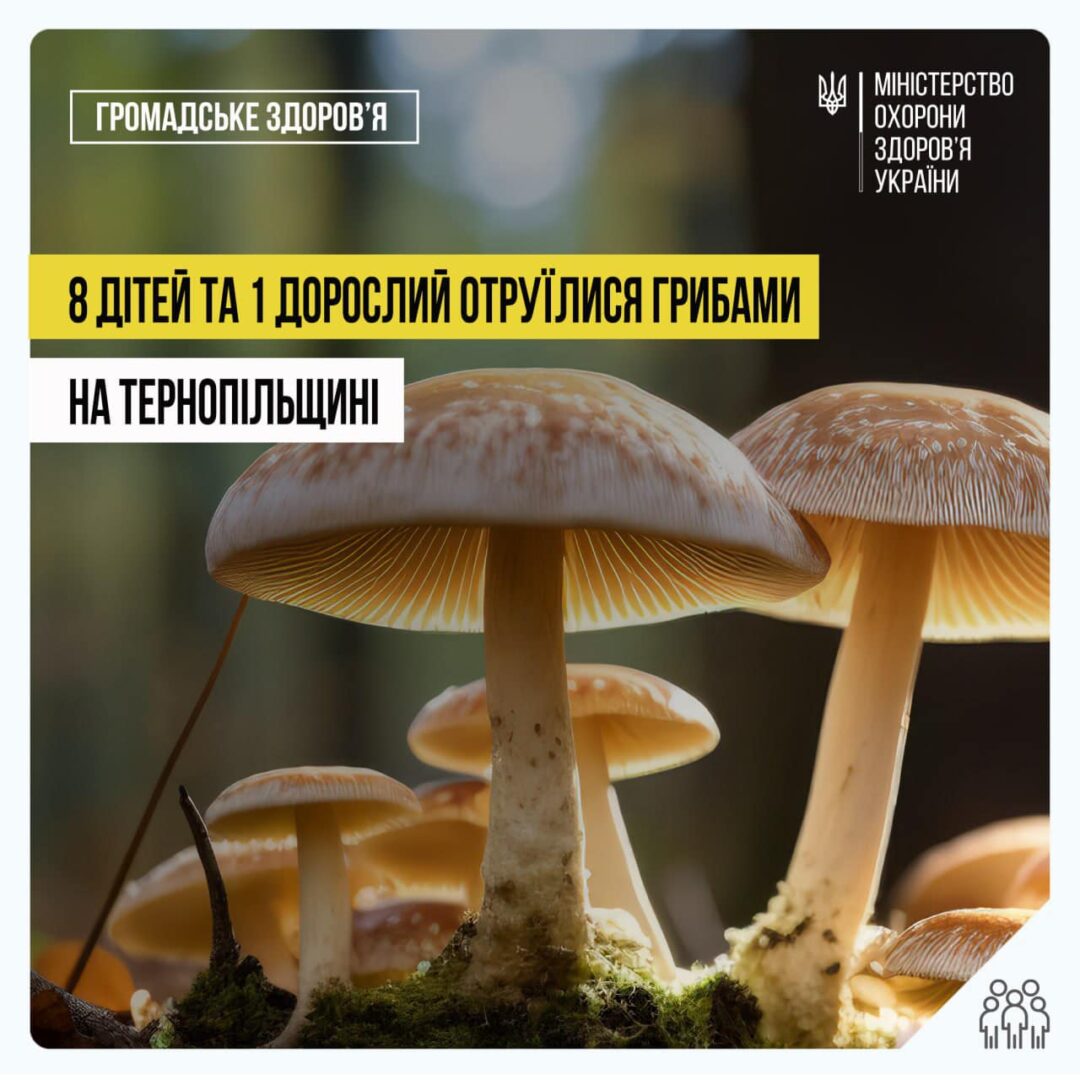 terng - На Тернопільщині восьмеро дітей отруїлися дикими грибами - rai.ua