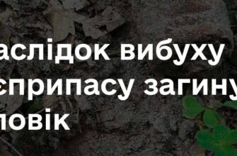 vnas2 - На Тернопільщині внаслідок вибуху боєприпасу загинув чоловік - rai.ua