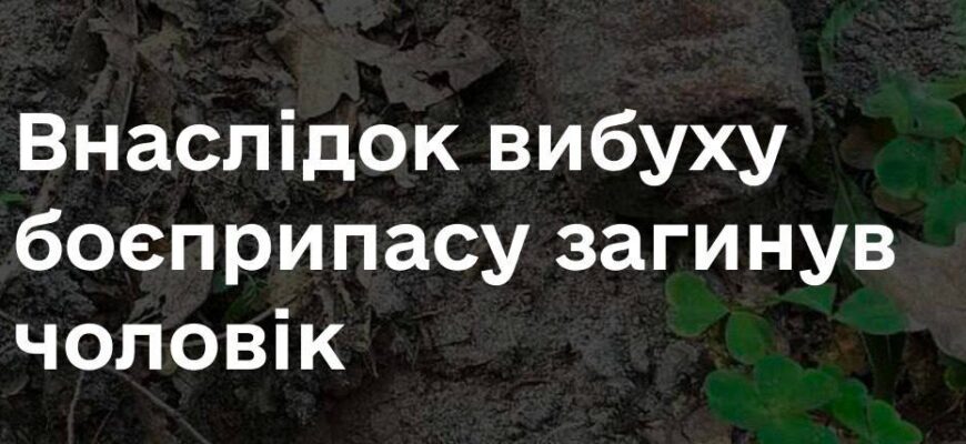 vnas2 - На Тернопільщині внаслідок вибуху боєприпасу загинув чоловік - rai.ua