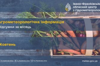 Агрометеорологічні умови були в основному сприятливими для вегетації озимих культур. ❕У першій половині місяця дощі та сильно зволожений верхній шар ґрунту перешкоджали проведенню польових робот по збору урожаю пізніх с/г культур, сівби озимих зернових, в другій половині – умови для проведення польових робіт покращились.