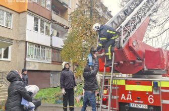 Рятувальники Калущини врятували кота