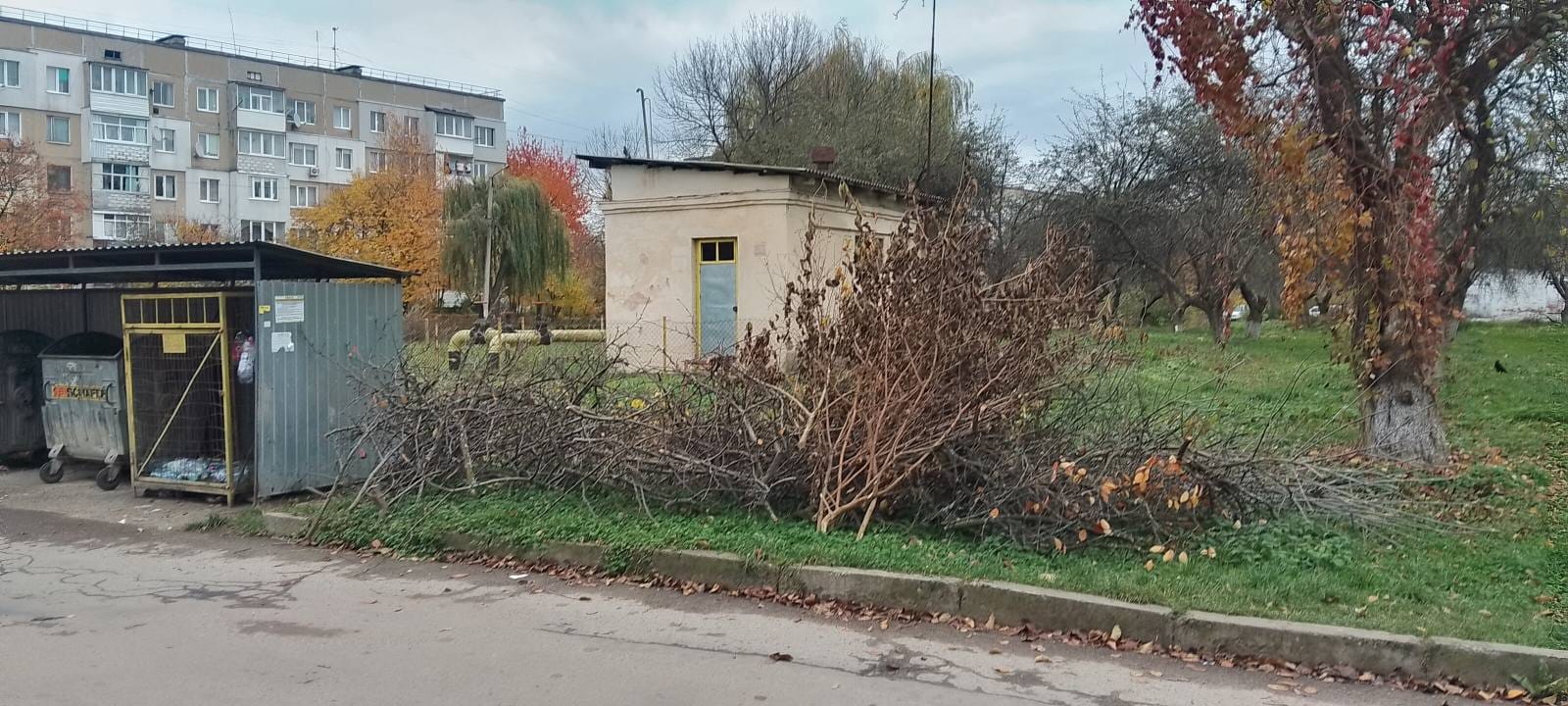 lys - «Спалювати опале листя заборонено!» - попереджає муніципальна інспекція - rai.ua