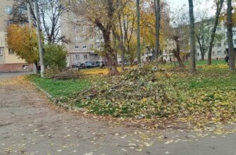 «Спалювати опале листя заборонено!» - попереджає муніципальна інспекція