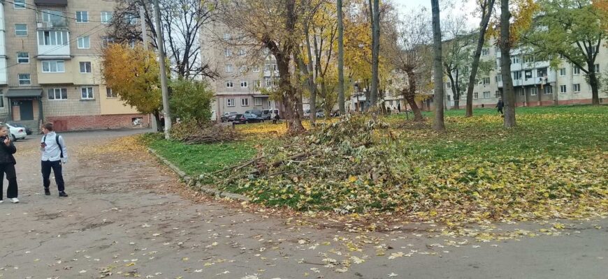 «Спалювати опале листя заборонено!» - попереджає муніципальна інспекція