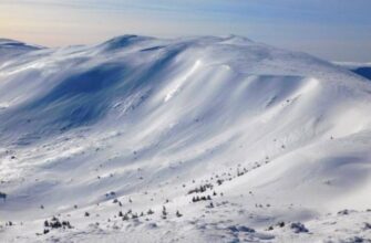 У високогір'ї Карпат